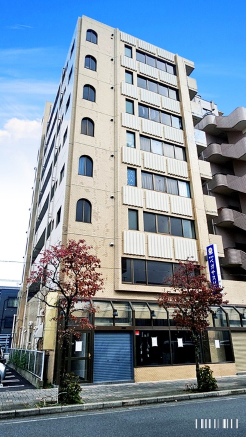 外観写真 新狭山ペガサスビル