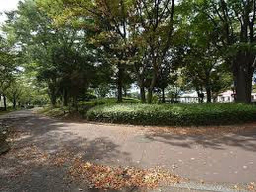 市民の森　スポーツ公園(公園)まで500m ハウス　サツキ