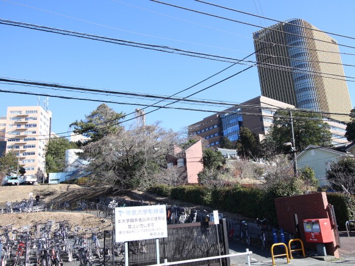 帝京大学(大学/短大/専門学校)まで1300m アースパックス　１号棟