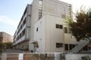 朝霞市立第十小学校(小学校)まで511m ブライトアサカ