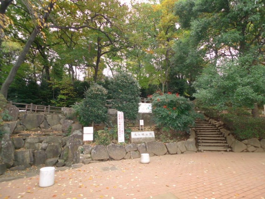 滝の根公園(公園)まで368m ブライトアサカ