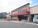 ライフ大倉山店(スーパー)まで1100m アゼリア