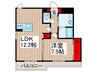 Domino Stella Residence 1LDKの間取り