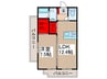 Domino Stella Residence 1LDKの間取り