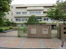 井田小学校(小学校)まで650m パル元住吉