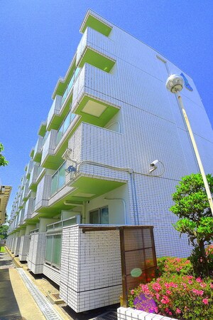 TOP与野第三(311)