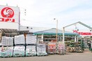 コメリハード＆グリーン府中日新店(電気量販店/ホームセンター)まで1000m マ・メゾン