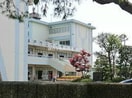 坂戸市立千代田小学校(小学校)まで550m ム－ンシャイン弐番館