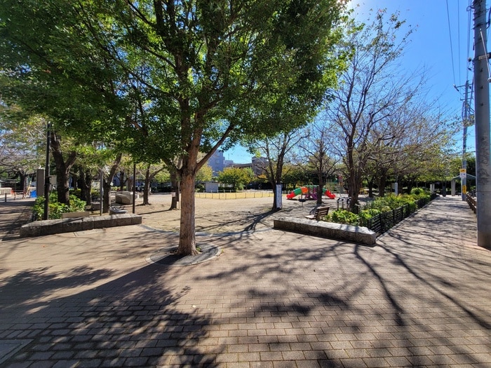 豊島区立染井よしの桜の里公園(公園)まで400m レピュア駒込レジデンス