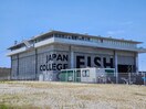 日本さかな専門学校(大学/短大/専門学校)まで667m メゾン凪