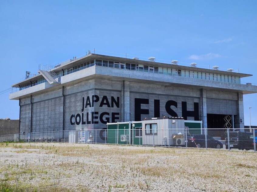 日本さかな専門学校(大学/短大/専門学校)まで667m メゾン凪