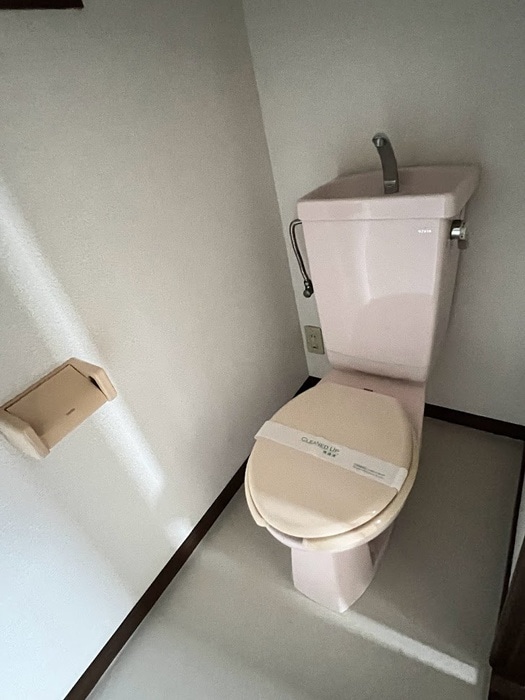 トイレ ﾊｲﾂささ川