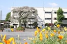 都岡小学校(小学校)まで300m アビタシオン筑池