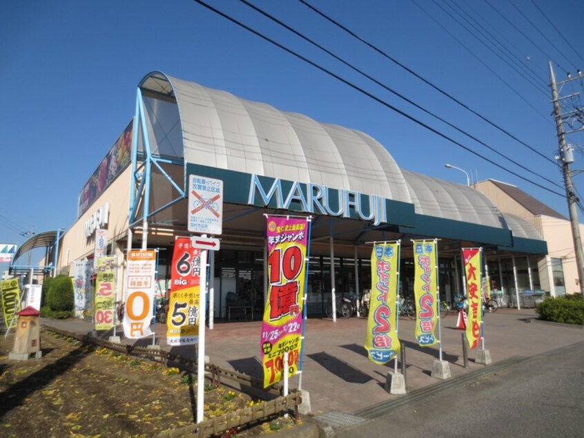 マルフジ羽村店(ドラッグストア)まで480m エムハイツ