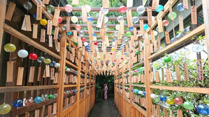 川越氷川神社(美術館/博物館)まで900m シャトー勝平