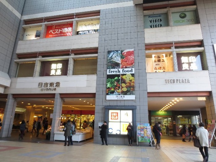 日吉東急ａｖｅｎｕｅ(デパート)まで1252m ミスズハイツ第１