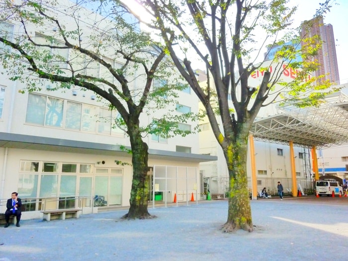 世田谷区役所太子堂出張所(役所)まで502m T´s Casa Sancha