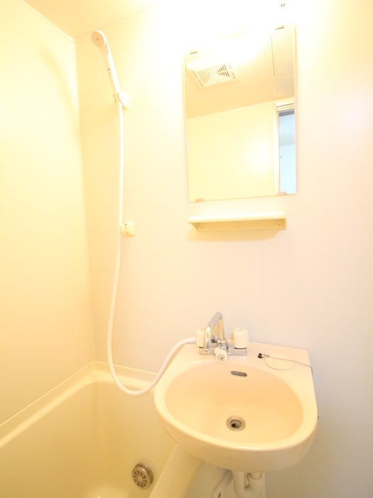 洗面 テラスコウバイ