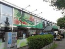 スーパー生鮮館TAIGA座間店(スーパー)まで137m アザーレ・パッシオ座間A