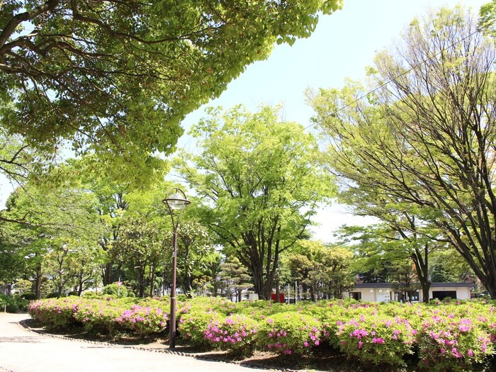 鹿沼公園(公園)まで612m クリスタル相生
