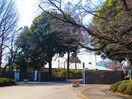 国際基督教大学(大学/短大/専門学校)まで1900m タマハイム