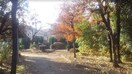 野川緑地公園(公園)まで650m タマハイム