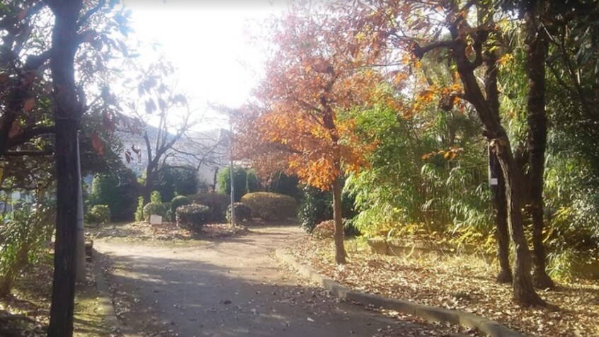 野川緑地公園(公園)まで650m タマハイム