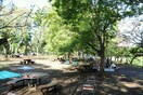 武蔵野公園(公園)まで1100m タマハイム