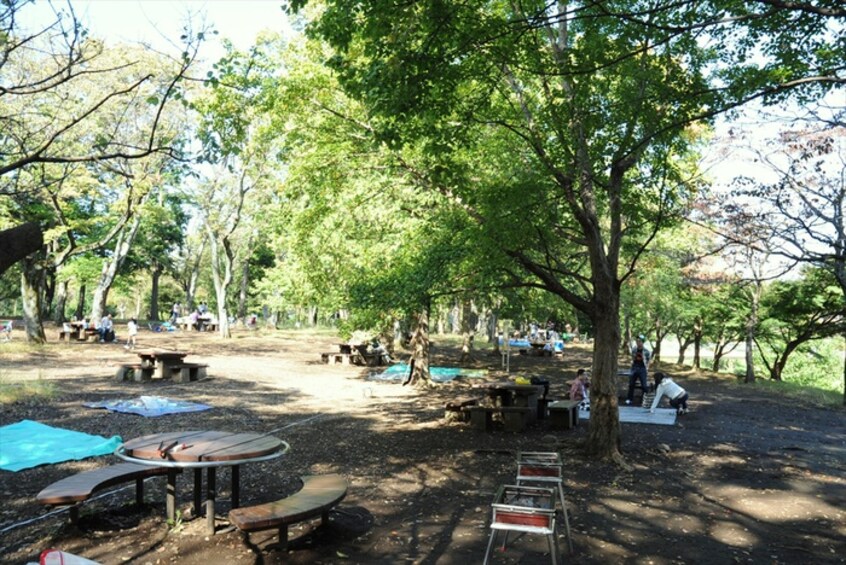 武蔵野公園(公園)まで1100m タマハイム