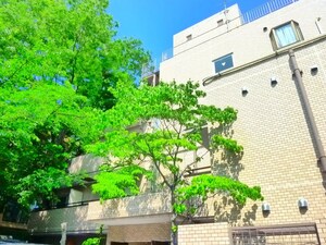 ＨＩＬＬ　ＳＩＤＥ　太子堂