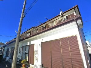 シンセリティナカエイ