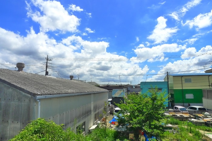 室内からの展望 シンセリティナカエイ