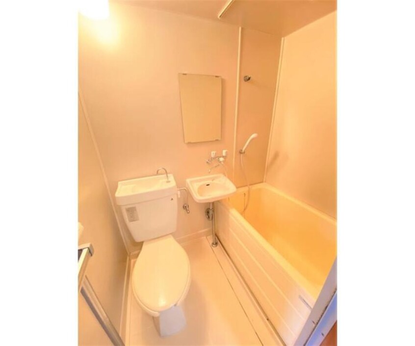 トイレ グリーンハイツ喜多見