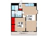 小井土マンション 1LDKの間取り