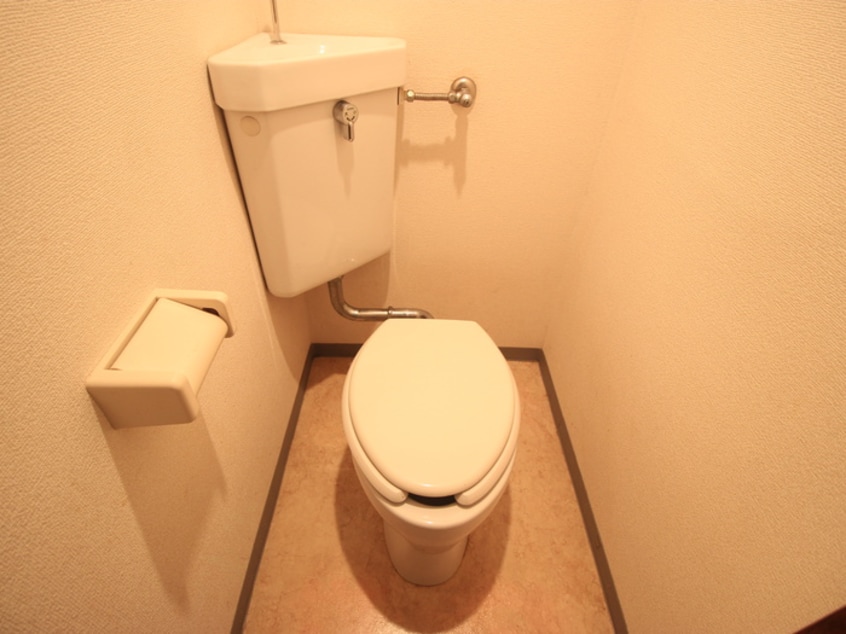 トイレ 坂下グリ－ンハイツ