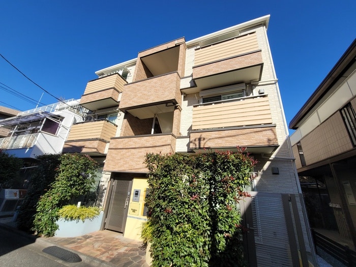 その他 Ｒａｉｎｂｏｗ　Ｈｉｌｌｓ