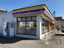 ミニストップ(コンビニ)まで700m リーブルファイン両新田西町