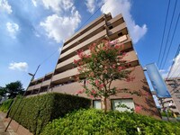 ﾀﾞｲﾔﾊﾟﾚｽﾊﾟｰｸﾃﾞｭｵ上石神井(501)