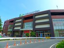 ララガーデン川口(ショッピングセンター/アウトレットモール)まで880m リブリ・SOPHIA喜沢２