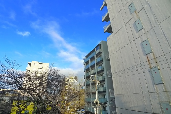 室内からの展望 シンシア壱番館