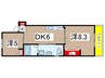 ﾊﾟｲﾝﾋﾙ17 2DKの間取り