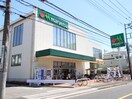 マルエツ飛田給店(スーパー)まで550m スプーキーパレス