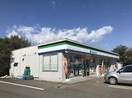 ローソン平塚南金目店(コンビニ)まで168m カントリーハイツ