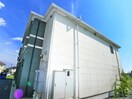 その他 クレオール