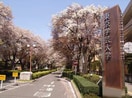 東京学芸大学(大学/短大/専門学校)まで500m 東南荘