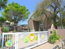 やまと幼稚園(幼稚園/保育園)まで57m スリーゼヒル