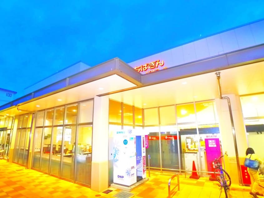 ビーコックストア(スーパー)まで838m KURAKICHI