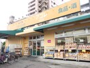 アコレ平和台店(スーパー)まで994m ハイツグローリア