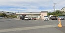 セブン-イレブン 藤沢藤が岡店(コンビニ)まで1000m プライムガーデン湘南藤沢
