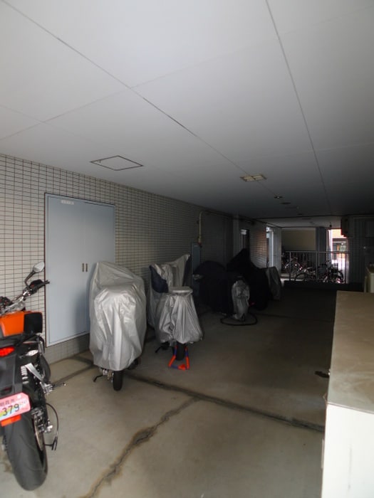 その他 ブエナビスタ